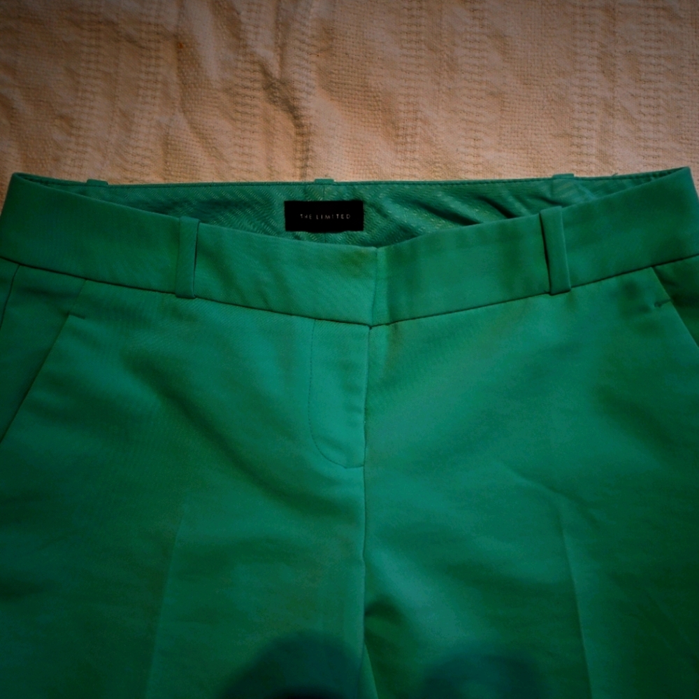 Limited mint size 2 Dress Pant